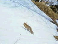 Foto R. Janavel�CEDRAP